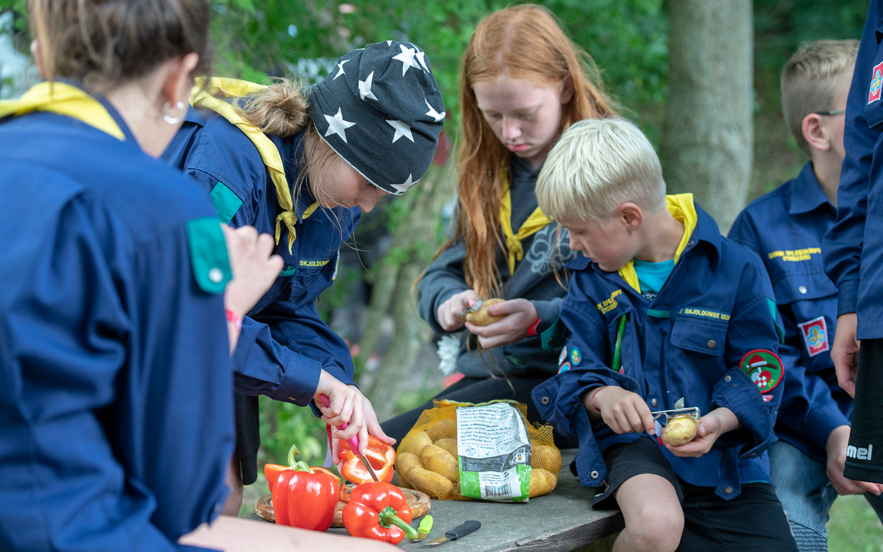 A couple of scouts cooking